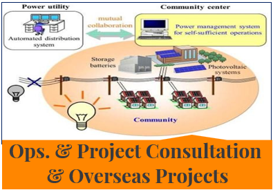Project consultations